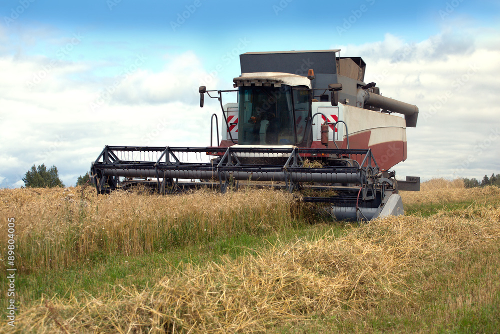 Fototapeta premium Grain rotary agricultural machine harvests on field in summer day. Photo closeup