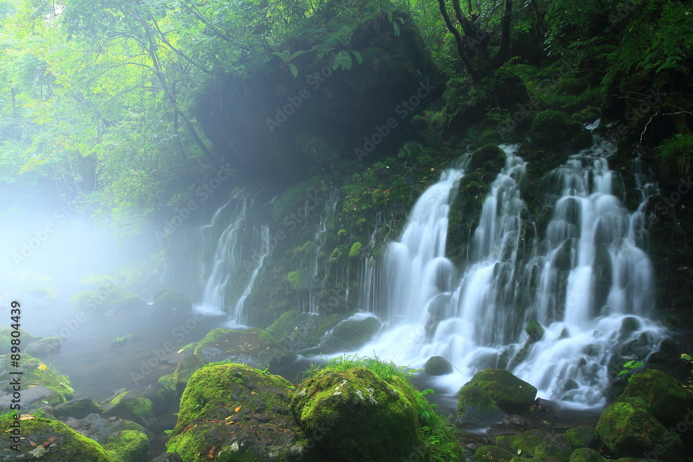 秋田県にかほ市 夏の元滝伏流水 秋田県にかほ市 夏の元滝伏流水