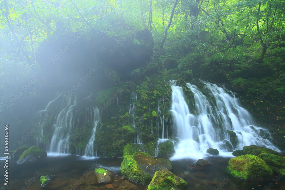 秋田県にかほ市 夏の元滝伏流水 秋田県にかほ市 夏の元滝伏流水