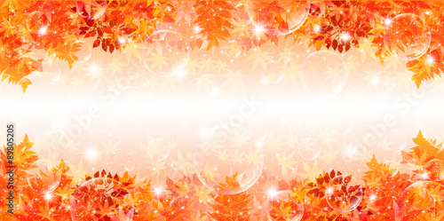 もみじ　紅葉　背景
