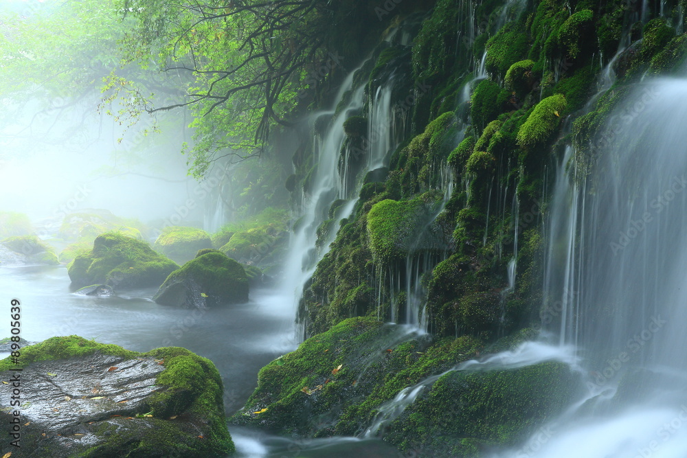 Fototapeta premium Akita Prefecture Nikaho City Summer Takimoto Shimizu