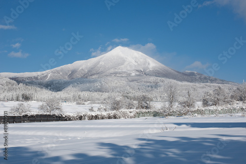 Wallpaper Mural 冬の磐梯山 Torontodigital.ca