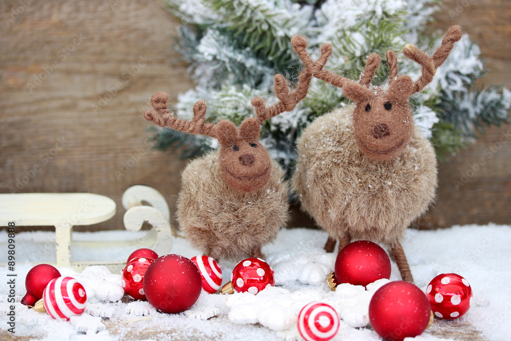 lustige Rentiere Stock Photo Adobe Stock