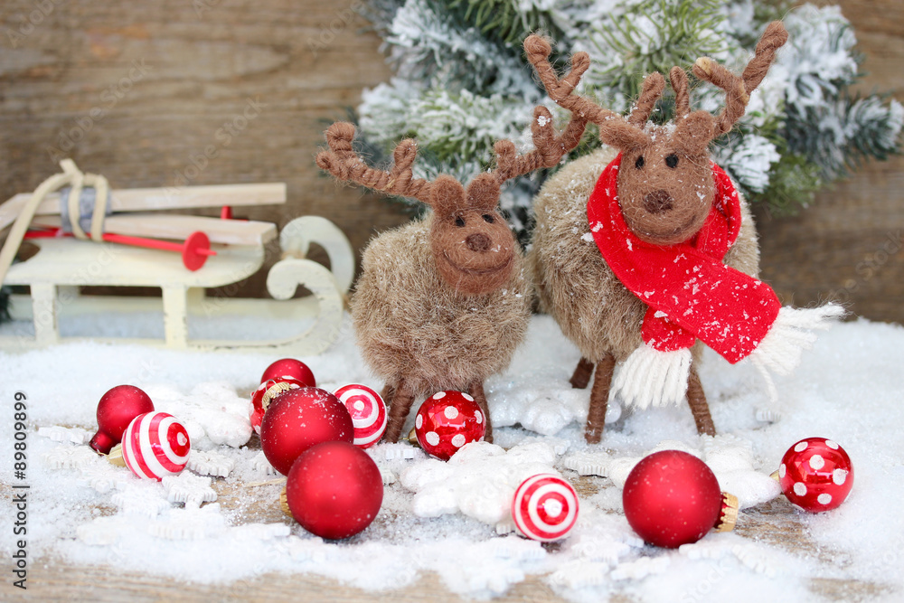 lustige Rentiere Stock Photo Adobe Stock