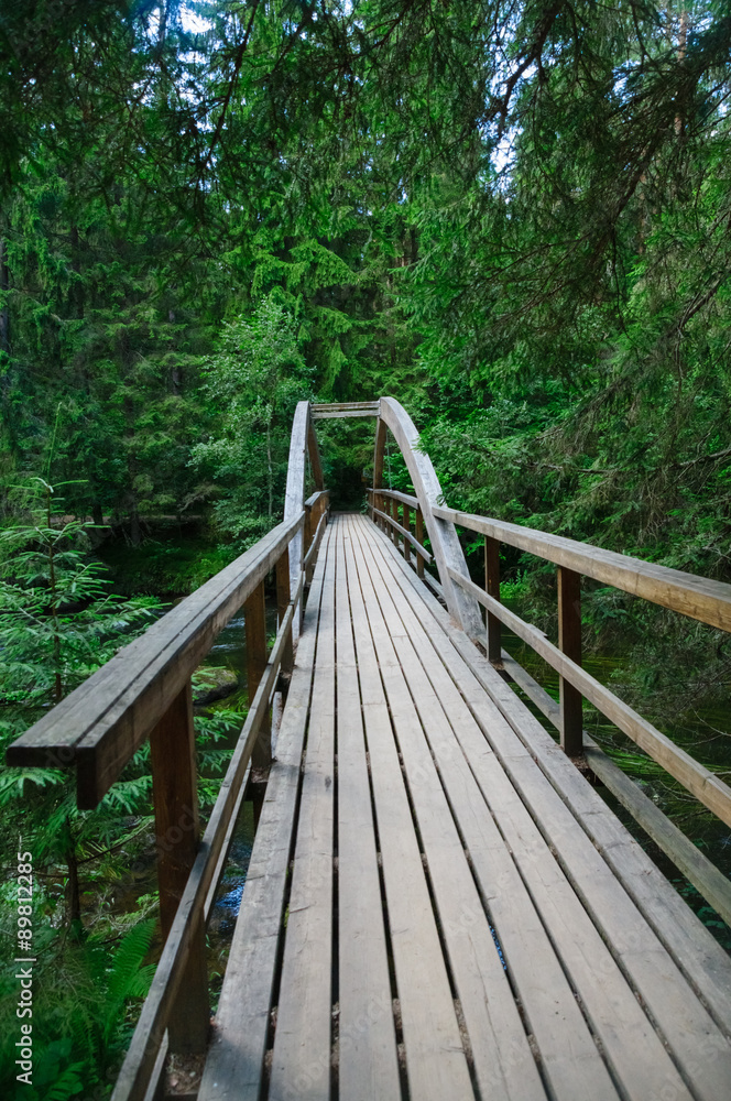 Fototapeta premium Wooden bridge in dense forest over Ahja river, Estonia