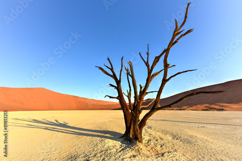 Dead Vlei, Namibia © demerzel21