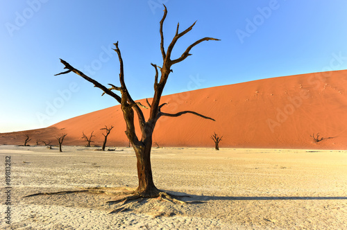 Dead Vlei, Namibia