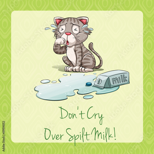 Cat crying beside spilt milk