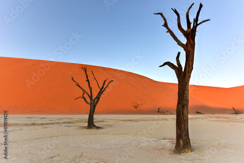 Dead Vlei, Namibia © demerzel21