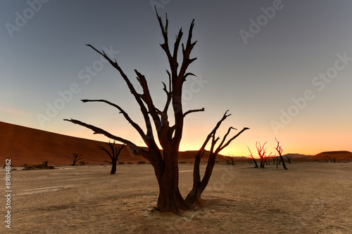 Dead Vlei  Namibia