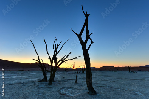 Dead Vlei, Namibia