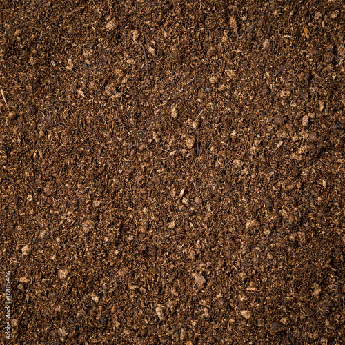 Photography close up soil peat moss dirty background and texture