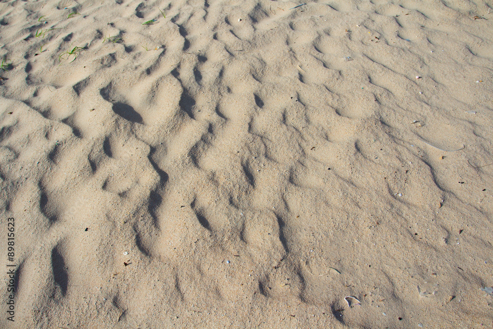 Background texture of sandy beach Background texture of sandy beach