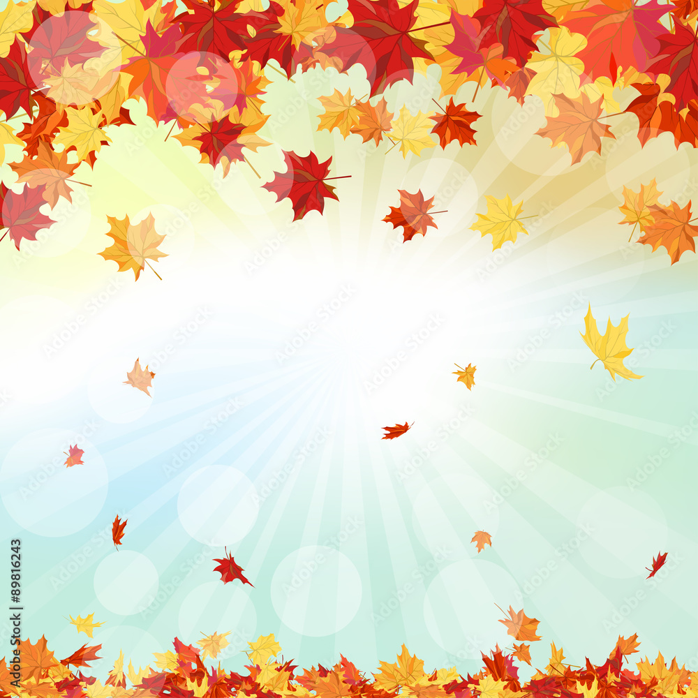 Autumn Frame Autumn Frame