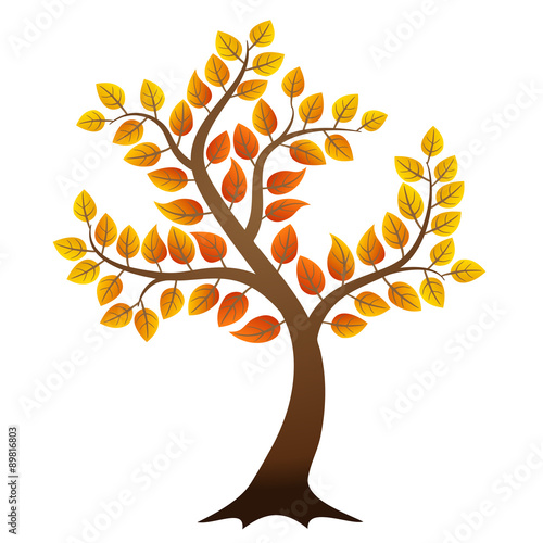 Vector autumn tree on white background