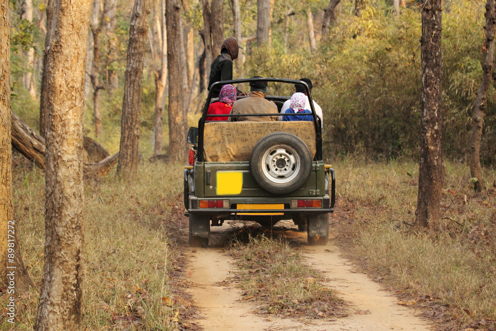 Fototapeta premium Safari jeep in deep forest of Kanha national park Madhya pradesh