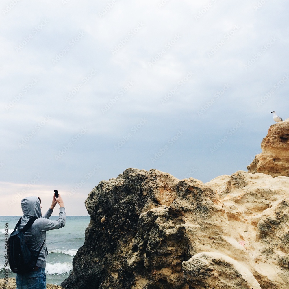 man take a mobile photo gull on the rock man take a mobile photo gull on the rock