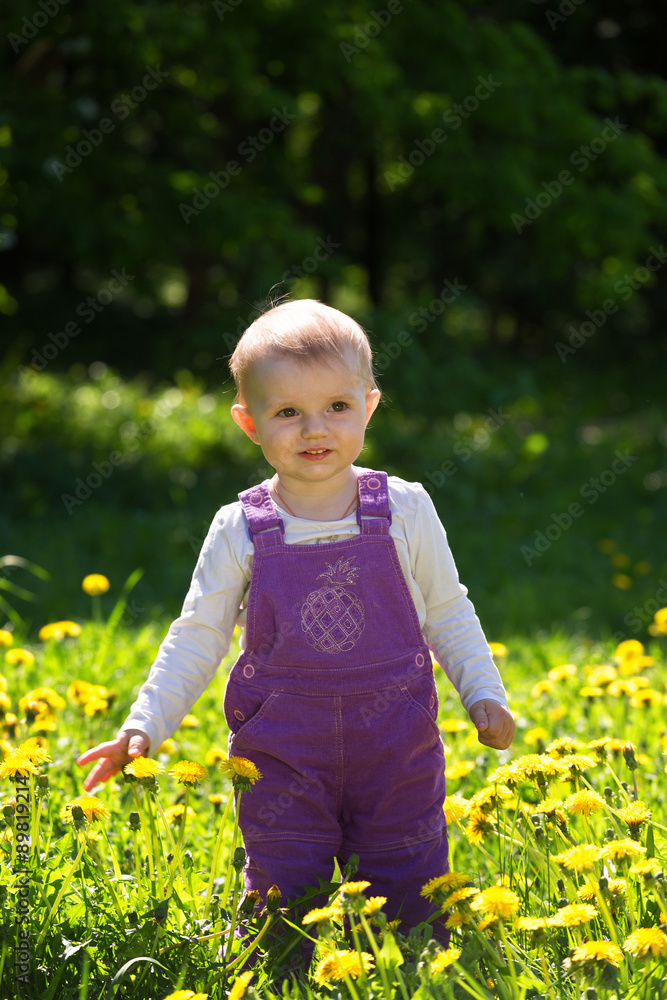 little girl stand on a glade with the blossoming dandelions little girl stand on a glade with the blossoming dandelions