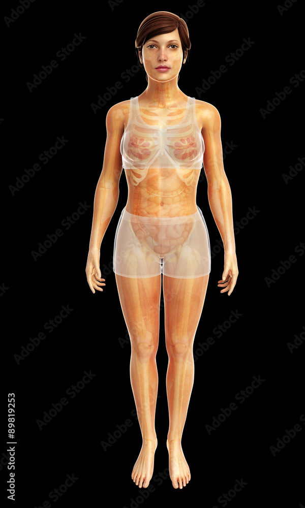 3d rendered illustration of 3d rendered illustration of