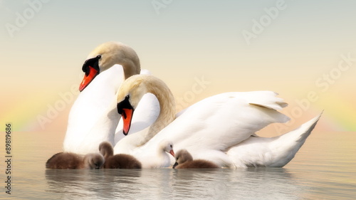 Swan family - 3D render
