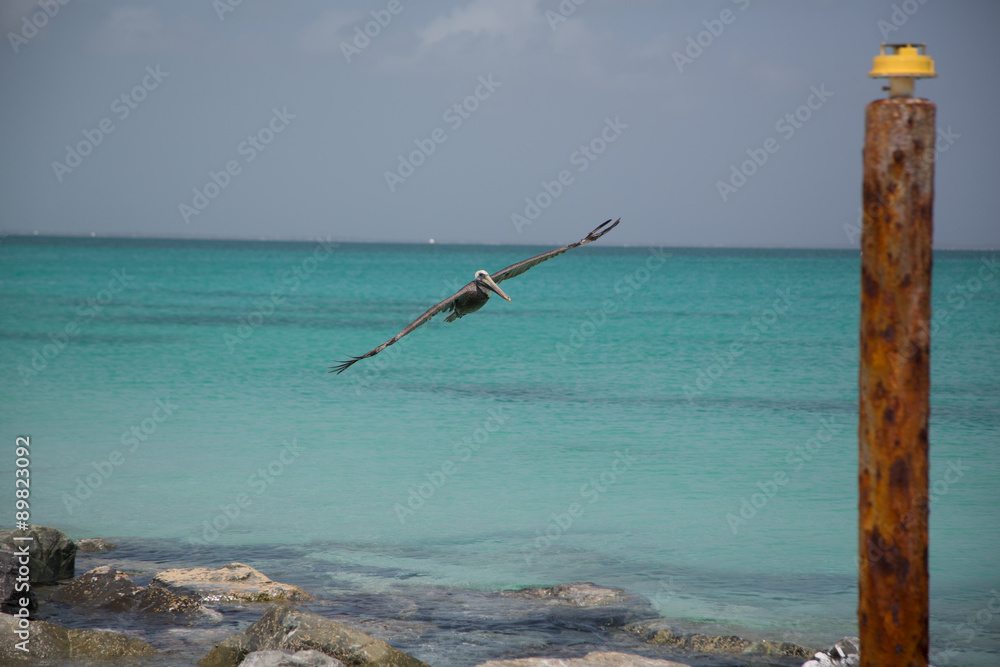 Fototapeta premium Paesaggi dei Caraibi con palme
