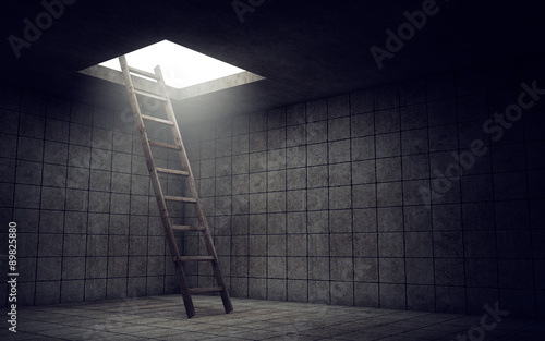 Fotografia, Obraz Ladder to freedom