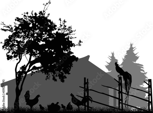 poultry and tree near small house isolated on white