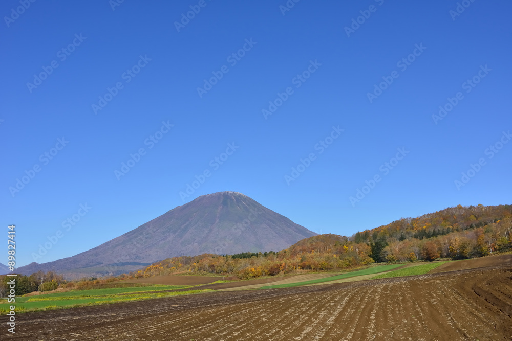 Fototapeta premium 羊蹄山麓の景色