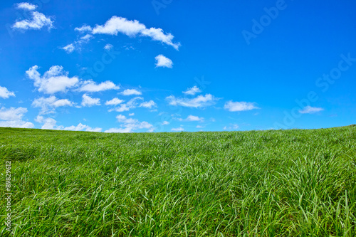 草原と青空 photo