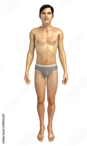 3d rendered illustration of male body anatomy