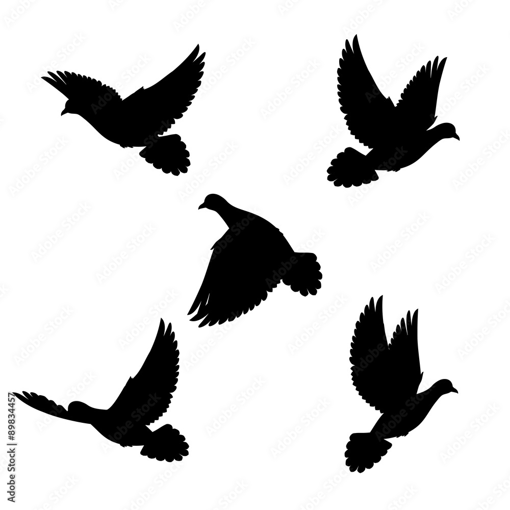 Fototapeta premium Set doves