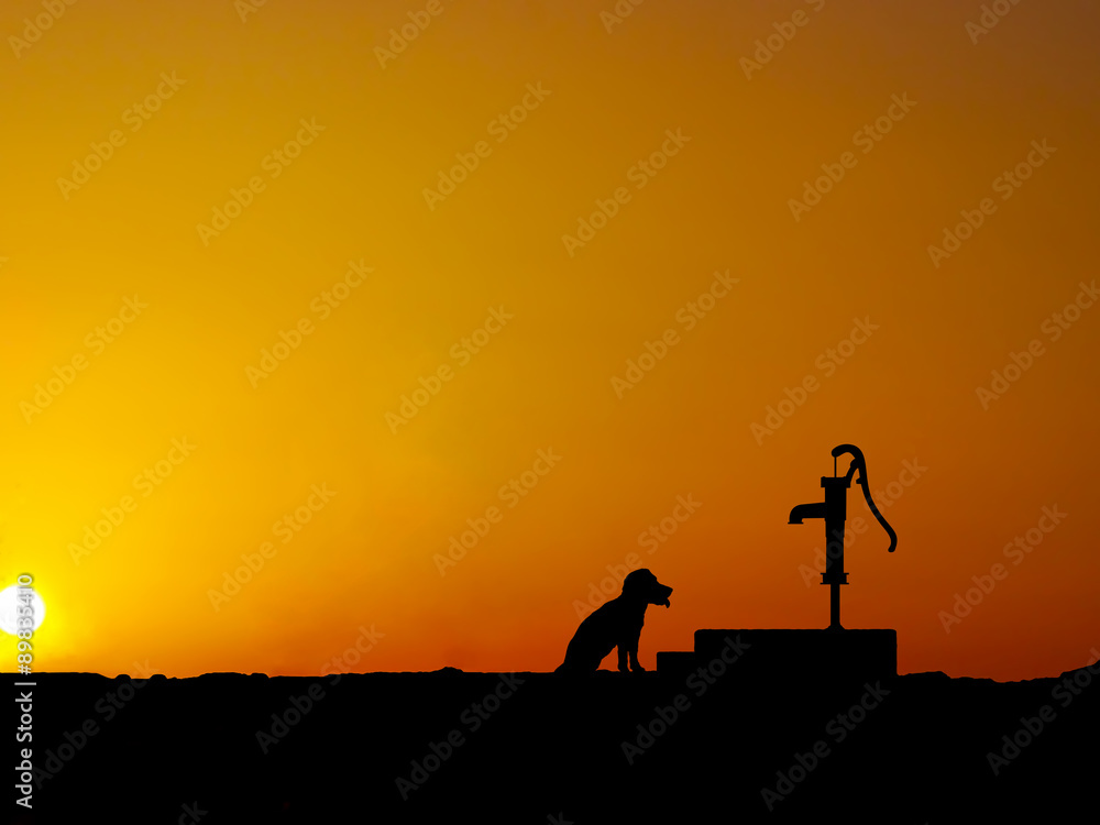 Silhouette Besides the water pump,,a thirsty dog