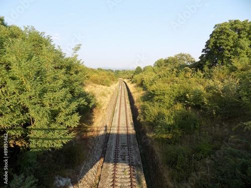 Railroad in nature