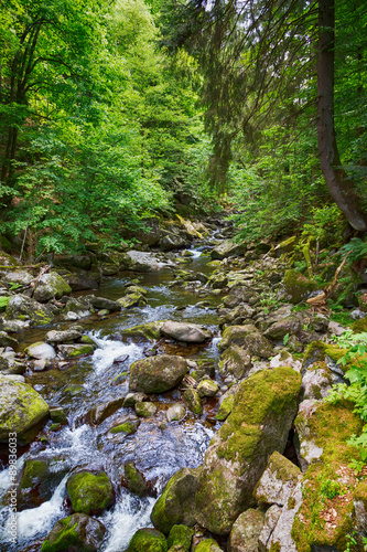 Torrent in the Bavarian Forest
