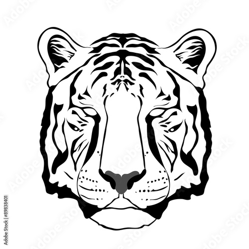 Fototapeta Naklejka Na Ścianę i Meble -  Wild withe tiger vector