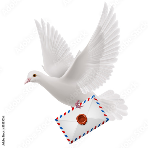 Dove white
