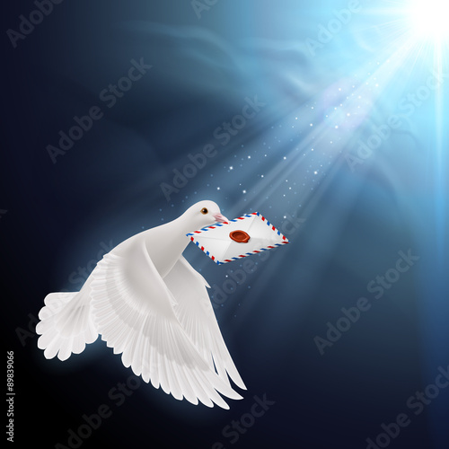 Dove white