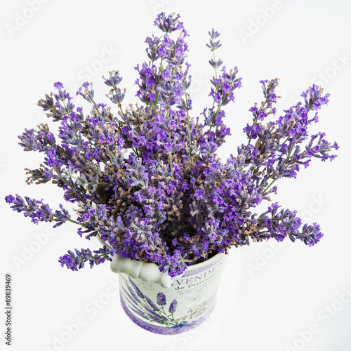 lavender in a metal bucket isolated on white