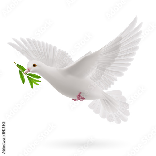 Fly dove