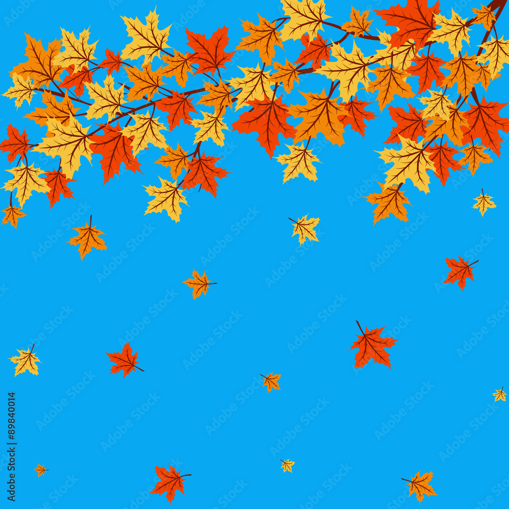 Autumn leaves Autumn leaves