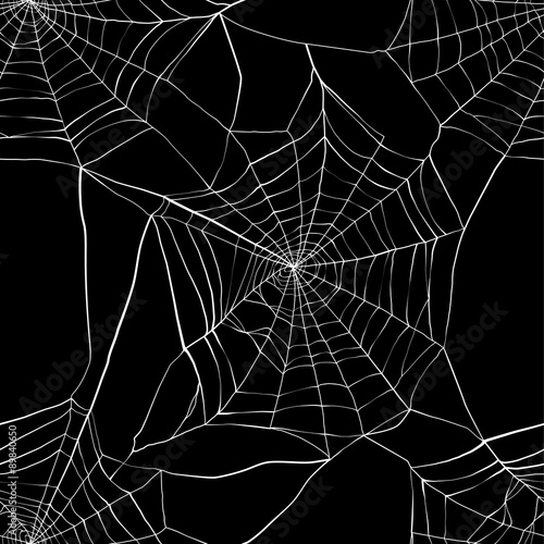 Seamless pattern with spider web 