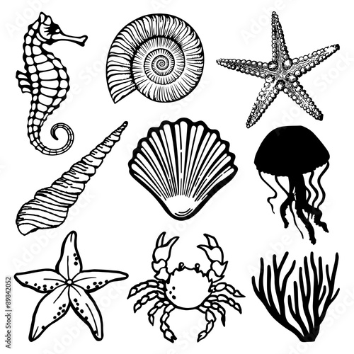 Sea Fauna Vector Set