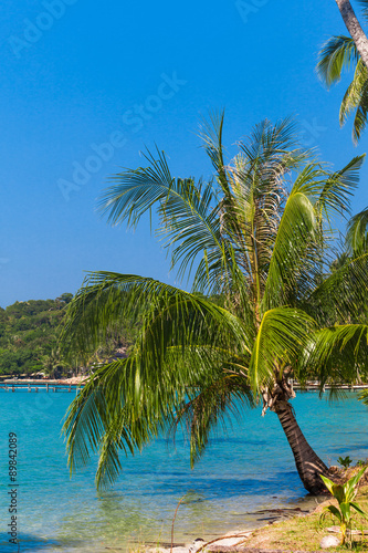 tropical beach © EwaStudio
