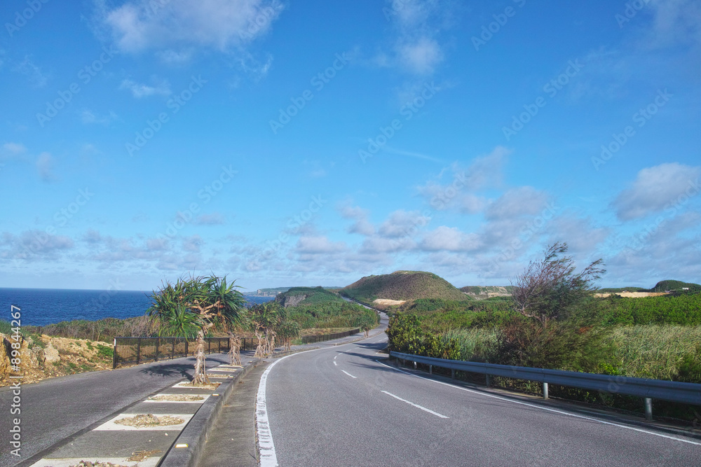Fototapeta premium 宮古島 県道235号線からの風景