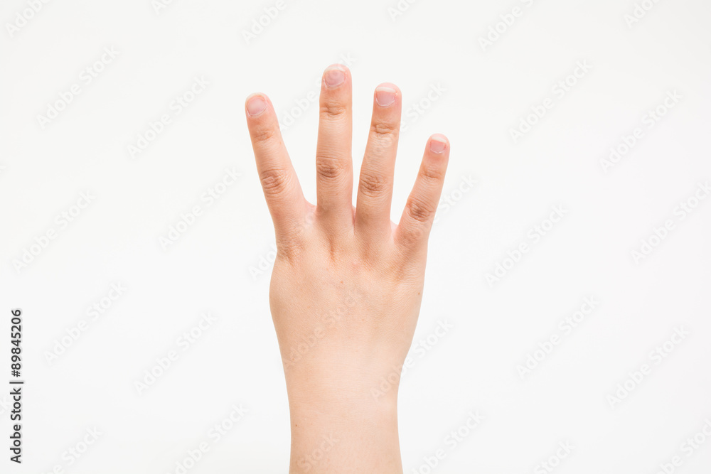 The hands of children No4 子供の手でNo4 The hands of children No4 子供の手でNo4