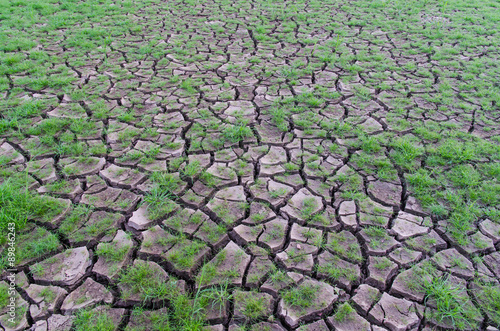 Drought, dry earth.