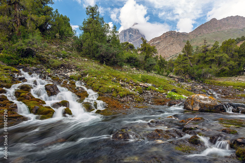 Mountain creeks fast moving Fast moving river with small waterfall falling creeks into main channel meadow forest mountain landscape on background © alexbrylovhk