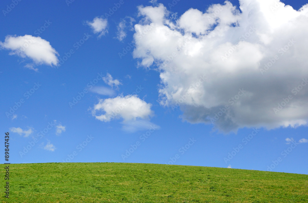 Fototapeta premium Grüne Wiese mit blauem Himmel und Wolken