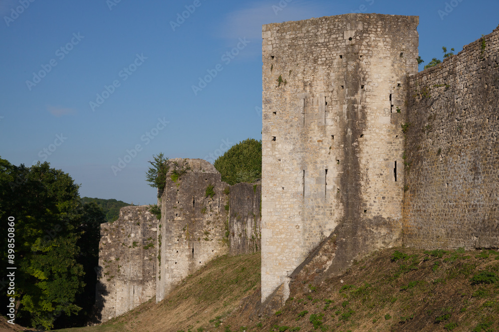 Tour et rempart de la cité médiévale de Provins - France