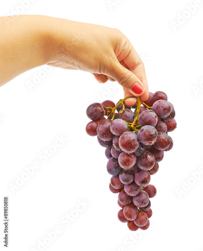 Big bunch of blue grapes